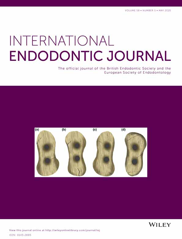 Apex Endodontics