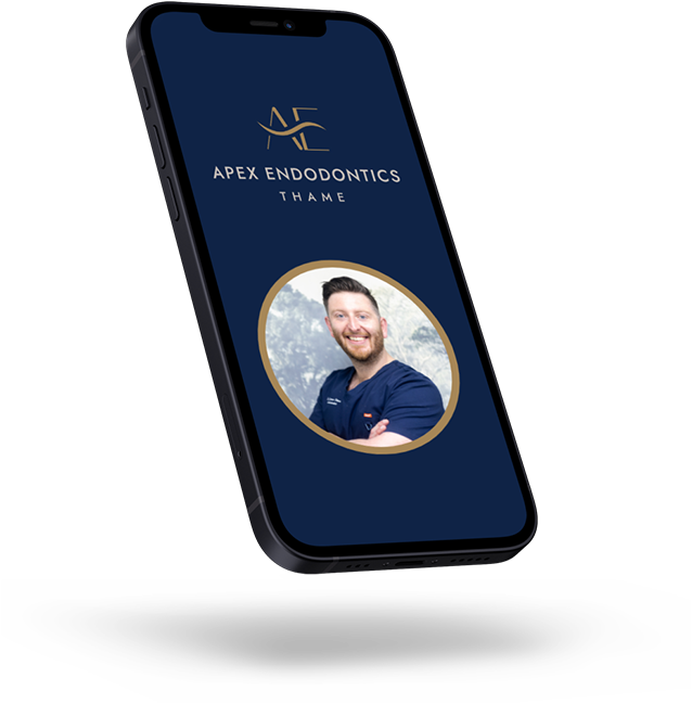 Apex Endodontics